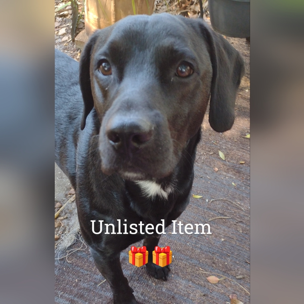 Unlisted show item March